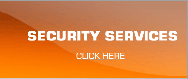 security services